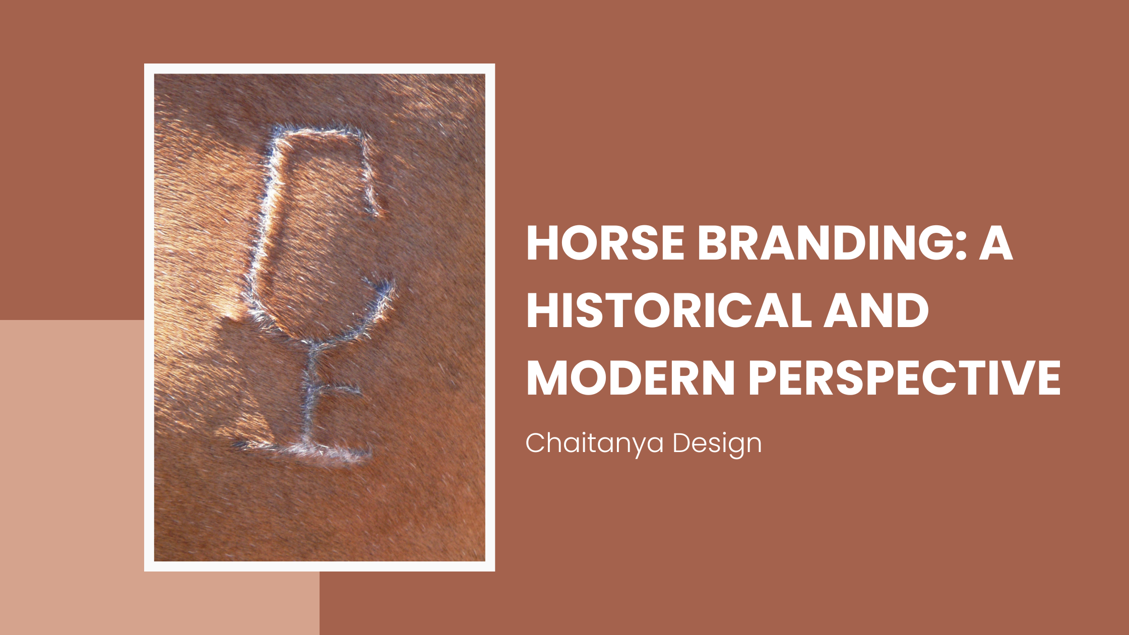 Horse Branding A Historical and Modern Perspective